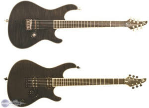 Mayones Regius 6