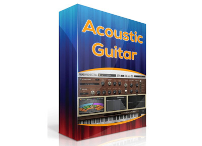 Sound Magic Acoustic Guitar