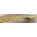 See the photo of the S71 Guitars S71 Custom Shop Guitars S71 Guitars S71 Custom Shop Guitars