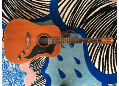 Eko Ranger 6 Electra