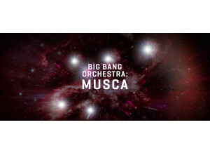 VSL (Vienna Symphonic Library) Big Bang Orchestra : Musca