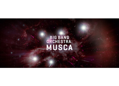 VSL (Vienna Symphonic Library) Big Bang Orchestra : Musca