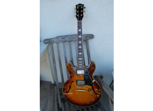 Stanbury Hollow Body forme 335