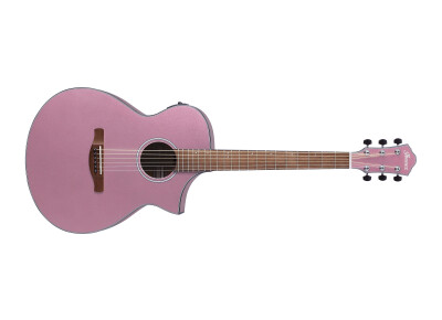 Ibanez AEWC10