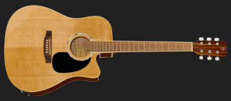 Une nouvelle folk chez Harley Benton