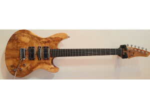 Luthier Réalisé par LITTEE Alexandre