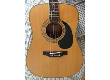 Maya (guitar) FK344R