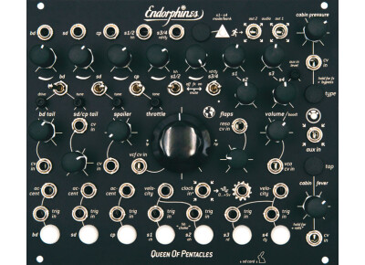 Endorphin Queen of Pentacles