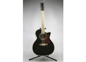 Tennessee Guitars T-314/12