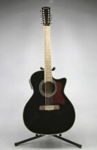 Tennessee Guitars T-314/12