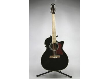 Tennessee Guitars T-314/12