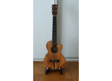 Antonio Pinto Carvalho Tenor CW