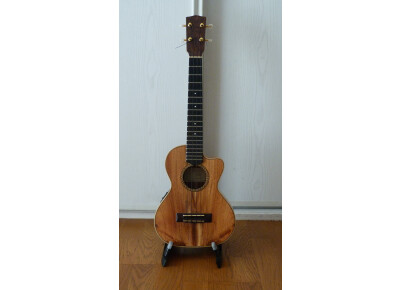 Antonio Pinto Carvalho Tenor CW