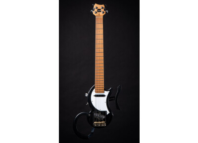 Sébastien Gavet- SG Lutherie Tourbus'caster