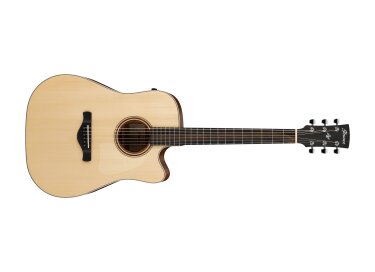 Ibanez AWFS300CE