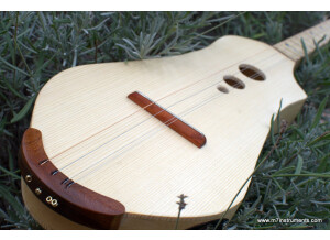 M7Instruments Merlin chromatique électro-acoustique