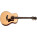 Voir la photo de la Taylor GT Urban Ash Taylor GT Urban Ash