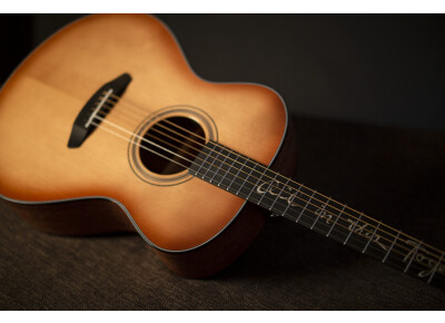 Breedlove Jeff Bridges Concert Copper E