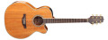 Trois nouvelles guitares rejoignent le catalogue Takamine