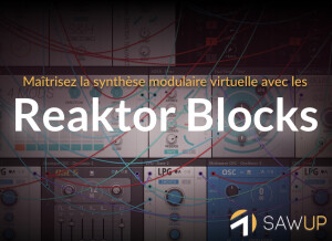 SawUp Maîtriser la synthèse modulaire virtuelle avec les Reaktor Blocks
