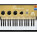 Voir la photo du Mellotron Chamberlin App Mellotron Chamberlin App