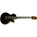 Voir la photo de la Epiphone Joe Bonamassa "Black Beauty" Les Paul Custom Epiphone Joe Bonamassa "Black Beauty" Les Paul Custom