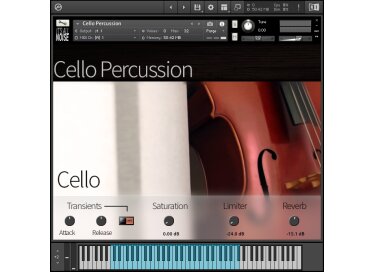 It's All Noise Cello Percussion