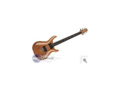 Carvin CT3M
