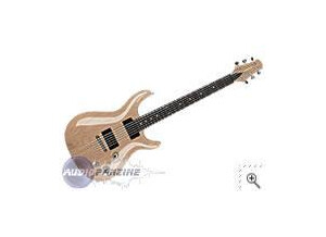 Carvin CT4M