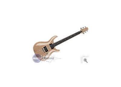 Carvin CT4M