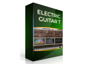 Sound Magic Electric Guitar T