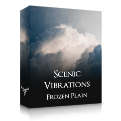 FrozenPlain lance Scenic Vibrations