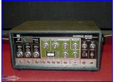 Roland RE-301 Chorus Echo
