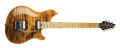 Peavey relance la production du modèle HP2