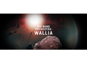 VSL (Vienna Symphonic Library) Big Bang Orchestra : Wallia