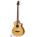 See the photo of the Breedlove ABJ25/CM4 fretless Breedlove ABJ25/CM4 fretless