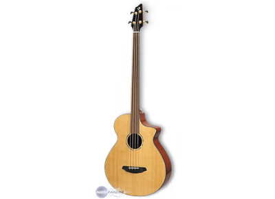 Breedlove ABJ25/CM4 fretless
