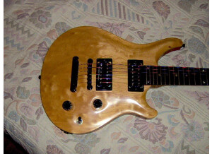 Patrick Eggle Guitars Berlin Standard