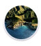 Mac OS Big Sur, attention avant de sauter le pas