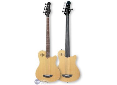 Godin A4 Fretless
