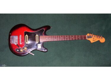 Ryan Guitars Type strato