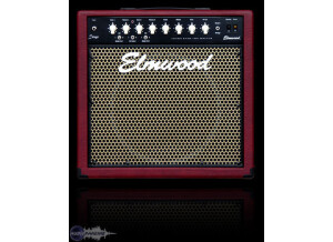 Elmwood Stinger 30 Combo 1x12