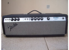 Fender Bassman 100 (Silverface)