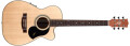 Un modèle signature Joe Robinson chez Maton