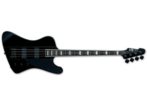 LTD Phoenix-1004