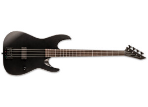 LTD M-4 Black Metal