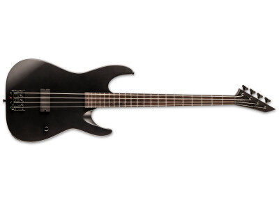 LTD M-4 Black Metal