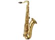 Yanagisawa T-WO1