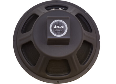 Jensen Blackbird 40 12"