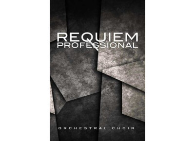 8dio Requiem Professional